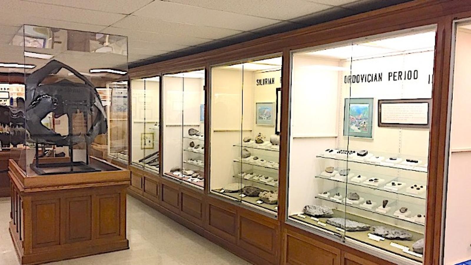 Gallery photo- fossils of Ohio